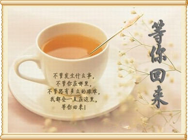 億誠(chéng)等你回來(lái) 億誠(chéng)等你回來(lái)