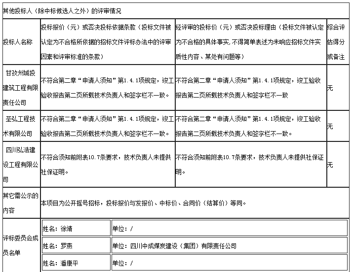其他投標人評審情況 其他投標人評審情況