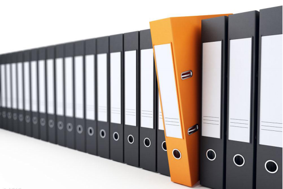 招標(biāo)文件 招標(biāo)文件