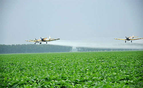 規模化農業生產