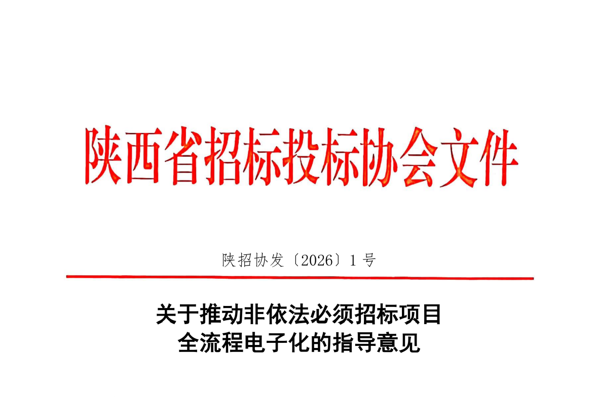 關于推動非依法必須招標項目全流程電子化的指導意見.png