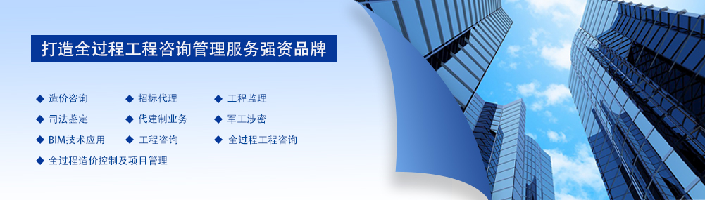 建設項目全過程管理 建設項目全過程管理